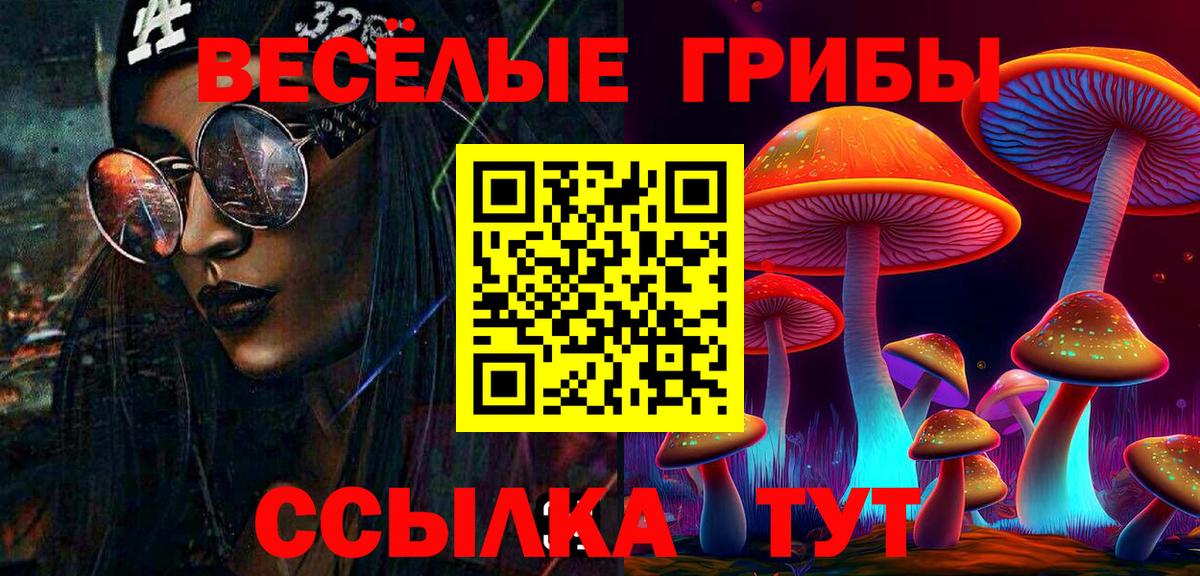 Раменское  Галлюциногенные грибы Psilocybine cubensis  Галлюциногенные грибы Cubensis  Вход с VPN 