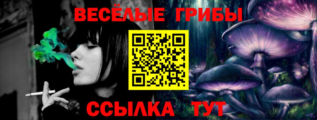 Галлюциногенные грибы Magic Shrooms Раменское
